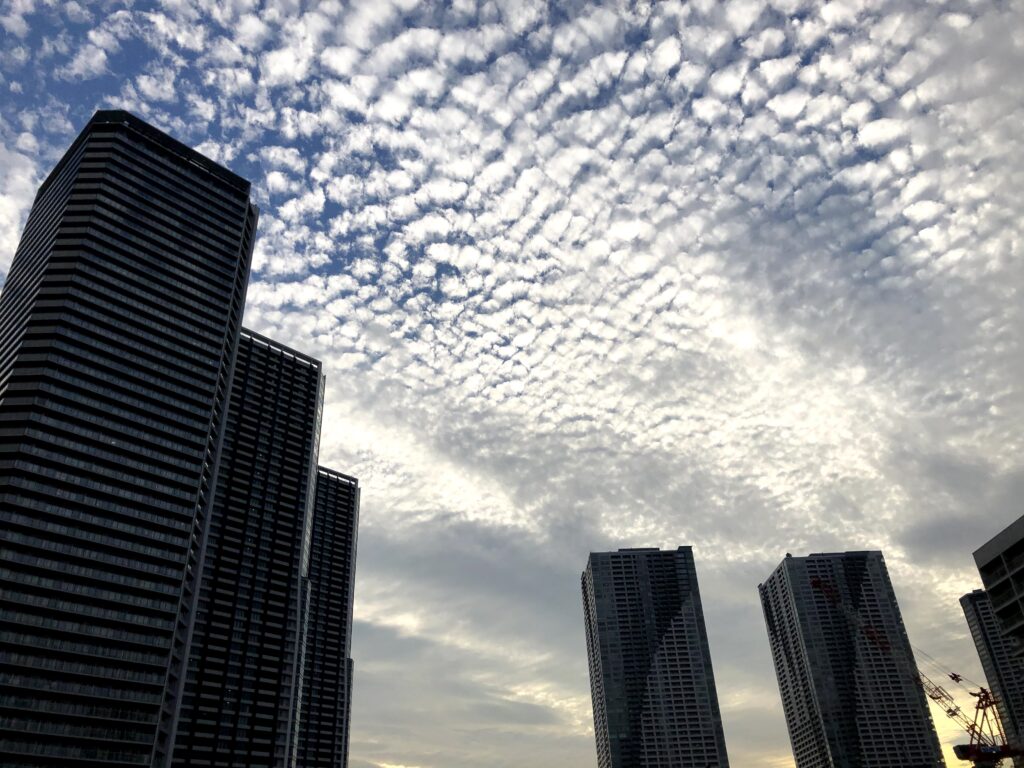 東京都 中央区 晴海 勝どき THE TOKYO TOWERS